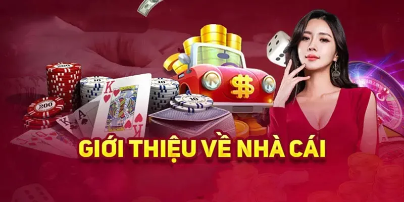 Tính năng nổi bật của 3389 bạn cần biết